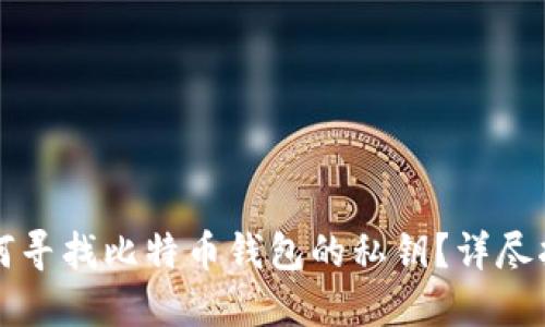 如何寻找比特币钱包的私钥？详尽指南
