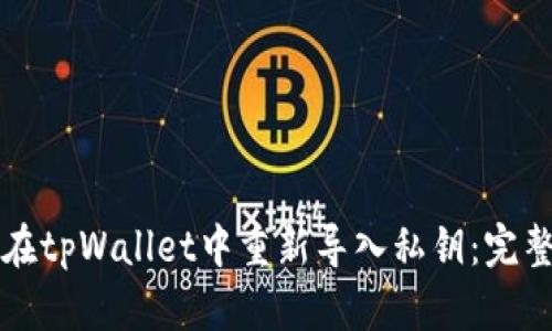 如何在tpWallet中重新导入私钥：完整指南