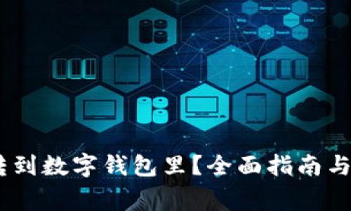 怎样把USDT转到数字钱包里？全面指南与常见问题解答