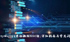 如何在tpWallet中切换到BSC链：详细指南与常见问题
