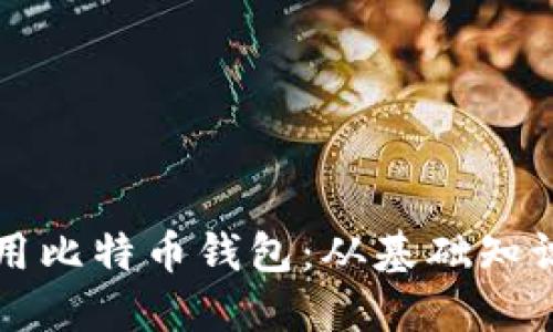 如何高效使用比特币钱包：从基础知识到实践指南