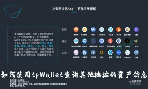 如何使用tpWallet查询其他地址的资产信息