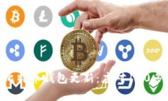 如何有效管理比特币钱包更新：应对100多GB数据的