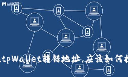 如果你在tpWallet转错地址，应该如何挽回损失？