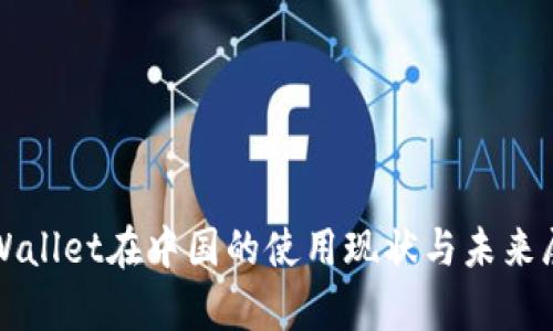 tpWallet在中国的使用现状与未来展望