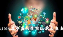 tpWallet在中国的使用现状与未来展望