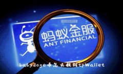 babydoge币怎么提到tpWallet
