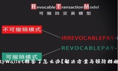 tpWallet掉签了怎么办？解决方案与预防措施