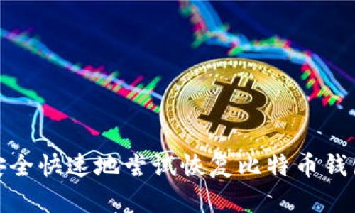 如何安全快速地尝试恢复比特币钱包密码