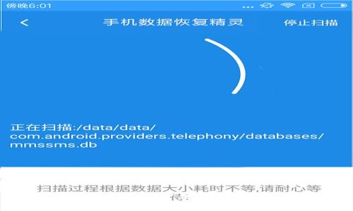 : 比特币钱包:选择密钥钱包还是标准钱包?