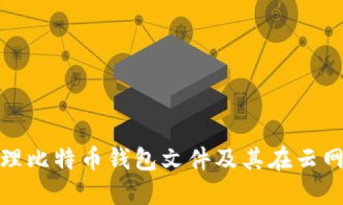 如何选择和管理比特币钱包文件及其在云网盘中的安全性
