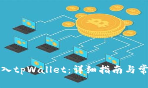如何成功登入tpWallet：详细指南与常见问题解析