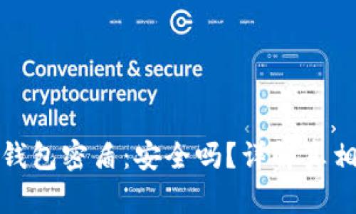 虚拟币钱包密盾：安全吗？详解真相与风险
